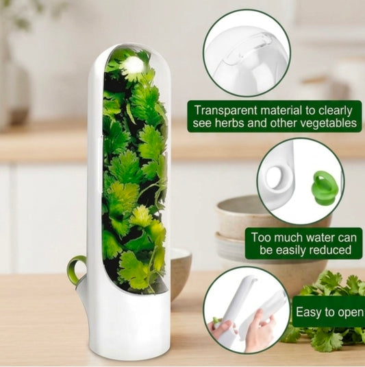Kitchen Fresh Herb Saver Vegetables Keeper for Refrigerator Herbs Storage Container